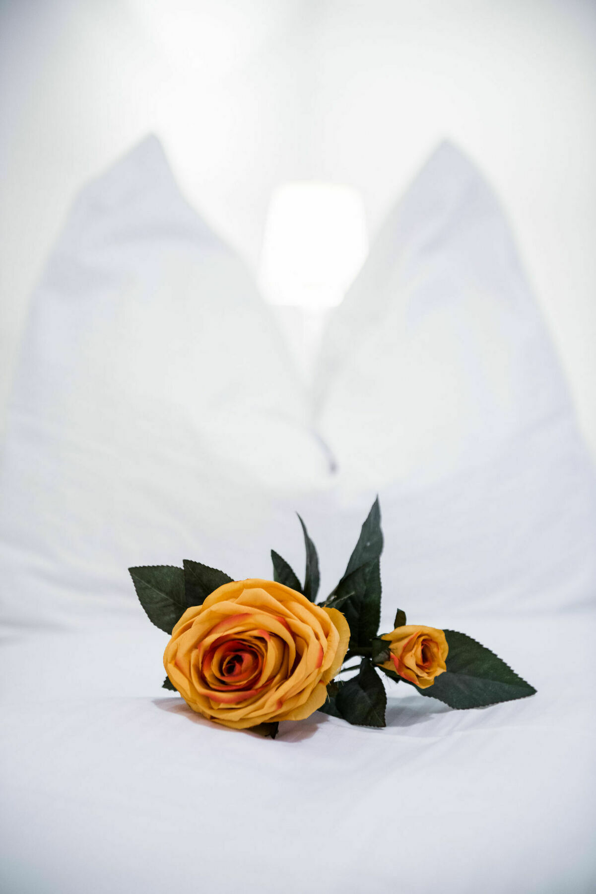 Vienna Apartment Stadtpark ภายนอก รูปภาพ